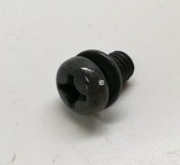 Screw With Washer