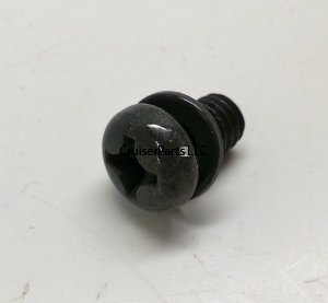 Screw With Washer