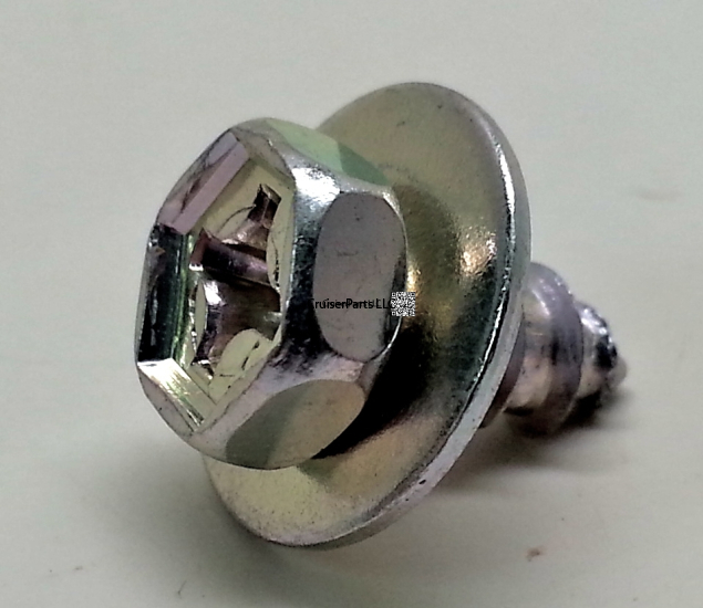 Tap Screw With Washer