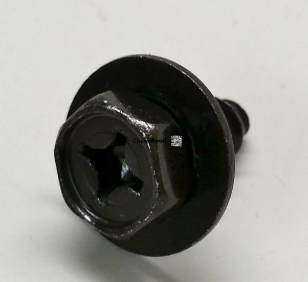 Screw With Washer