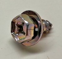 Screw With Washer