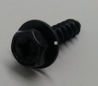 License Bracket Bolt