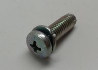 Screw With Washer