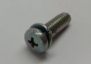Screw With Washer
