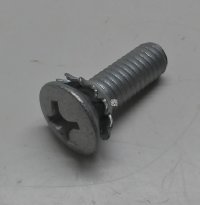 Screw With Washer