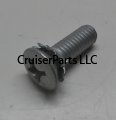Screw With Washer