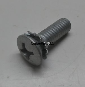 Screw With Washer
