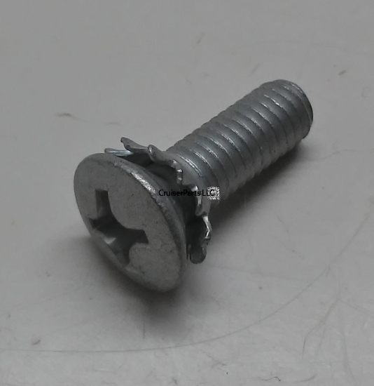 Screw With Washer