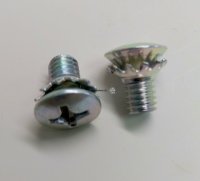 Screw With Washer