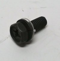 Screw W/Washer