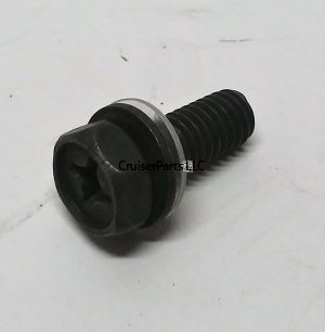 Screw W/Washer