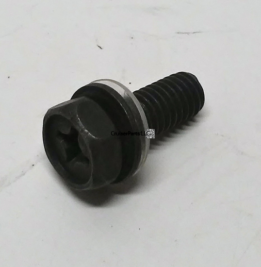 Screw W/Washer