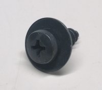 Screw With Washer