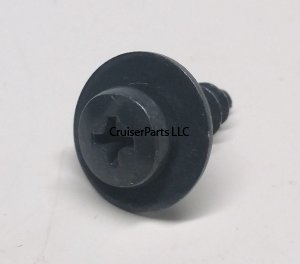 Screw With Washer