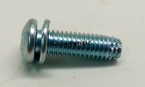 Screw With Washer