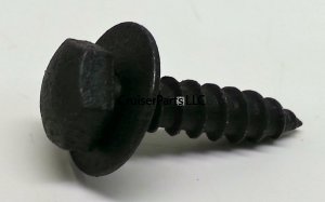 Screw With Washer