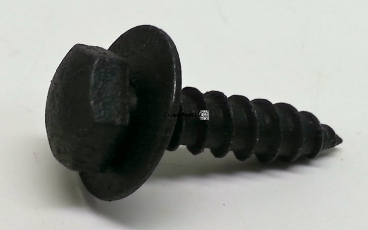Screw With Washer