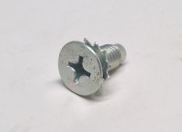 Screw With Washer