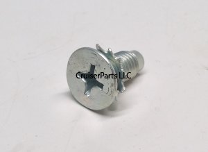 Screw With Washer