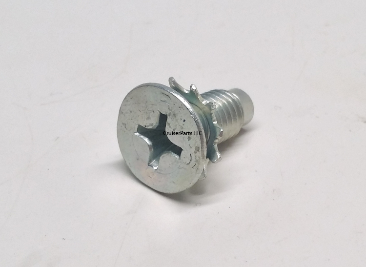 Screw With Washer