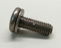 Screw With Washer