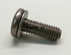 Screw With Washer