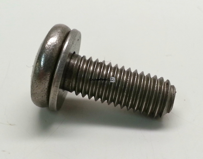 Screw With Washer
