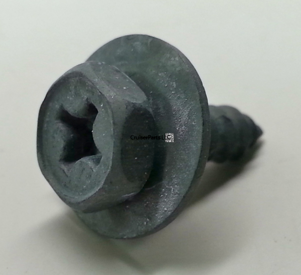 Tapping Screw With Washer