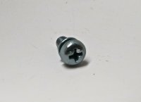 Screw With Washer