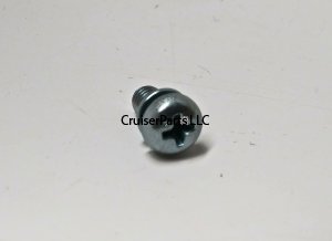 Screw With Washer