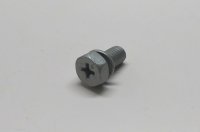 Screw With Washer