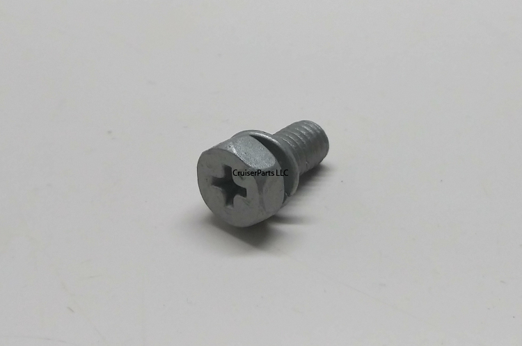 Screw With Washer