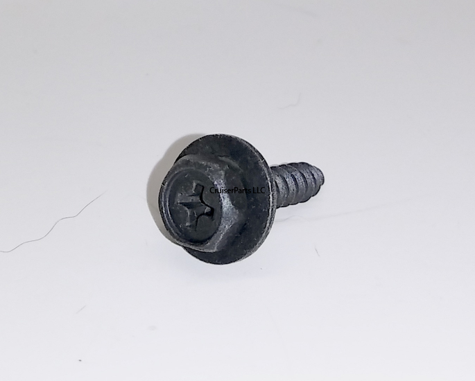 Screw With Washer