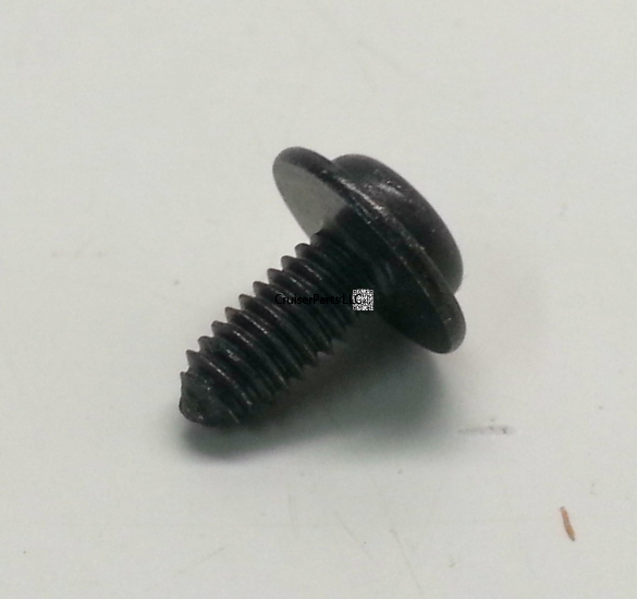 Cover Screw