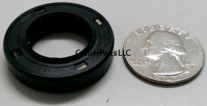 Adjuster Plug Oil Seal