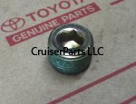 Allen Head Screw Plug (small) for Brake Line 10mm