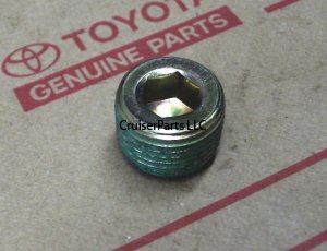 Allen Head Screw Plug (big)