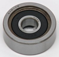 Input Shaft Bearing 1PZ 1HZ 1HDT