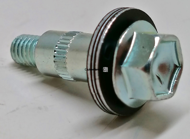 Valve Cover Bolt 24 valve 1HDFTE