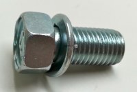 Bolt With Washer Standard Part
