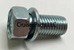 Bolt With Washer Standard Part