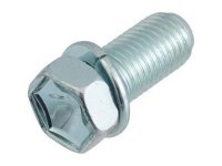 Bolt With Washer