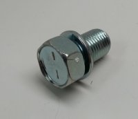Manifold Bolt