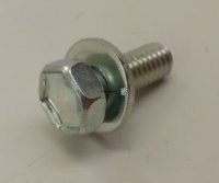 Bolt with Washer