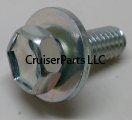 Bolt W/Washer