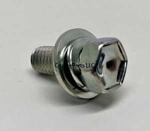 Bolt With Washer
