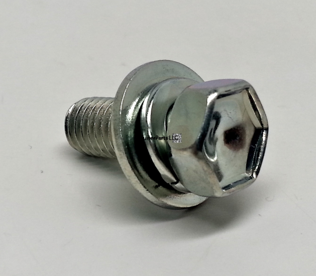 Bolt With Washer