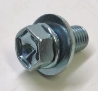 Bolt With Washer