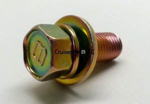 Bolt With Washer