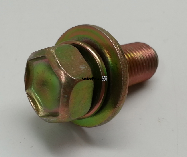 Bolt With Washer